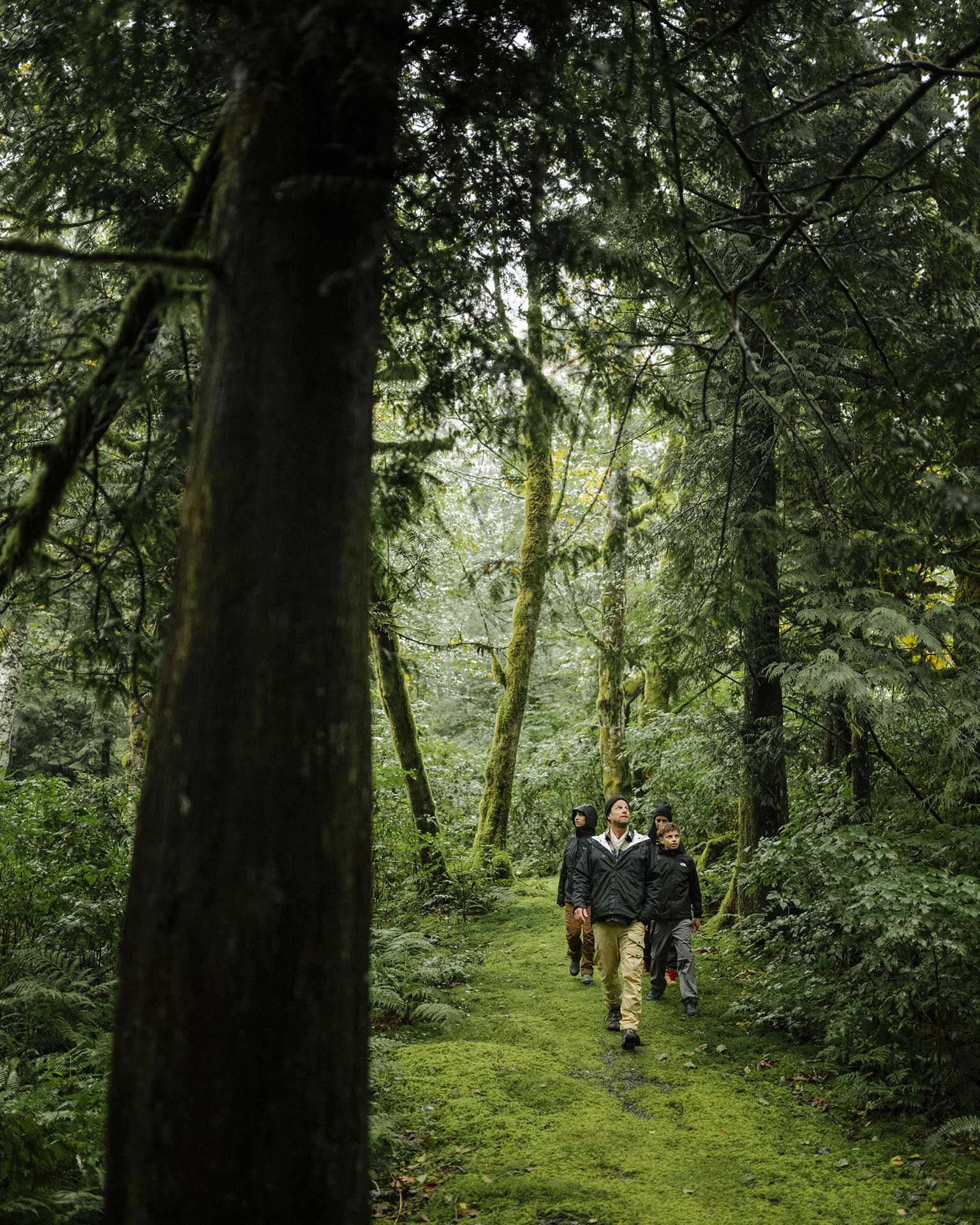 Guests walking in the rainforest
